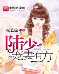 陆少宠妻有方章节列表