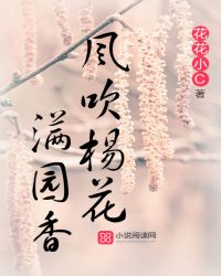 风吹杨花满园香章节列表