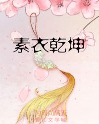 素衣乾坤章节列表