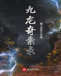 九龙奇案录章节列表