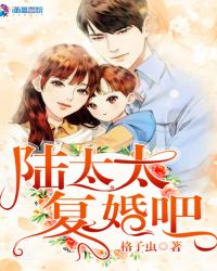 陆太太复婚吧章节列表