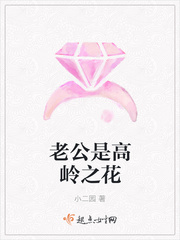 老公是高岭之花章节列表