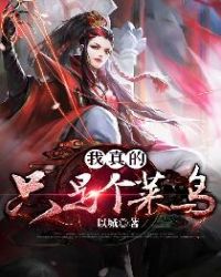 我真的只是个菜鸟章节列表