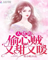 大佬的偷心贼又甜又暖章节列表