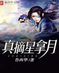 真摘星拿月章节列表