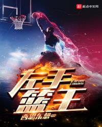 左手篮王章节列表