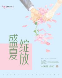 盛夏绽放章节列表