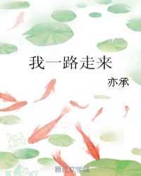我一路走来章节列表