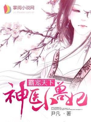 神医小兽妃章节列表