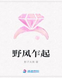 野风乍起章节列表