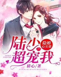 隐婚心尖妻：陆少超宠我章节列表