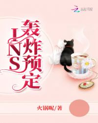 INS轰炸预定章节列表