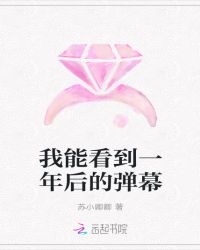 我能看到一年后的弹幕章节列表