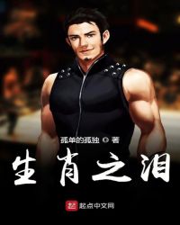 生肖之泪章节列表