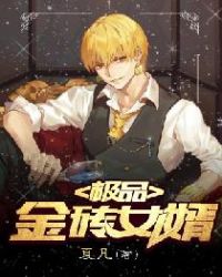 极品金砖女婿（又名：豪婿）章节列表