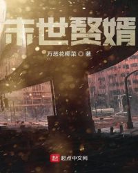 末世赘婿章节列表