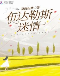 布达勒斯迷情章节列表