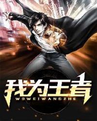 我为王者章节列表