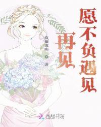 再见愿不负遇见章节列表