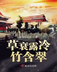 竹马青梅长相随章节列表