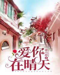 爱你在晴天章节列表