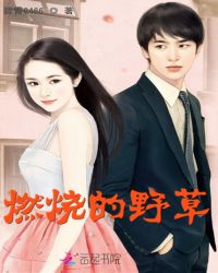燃烧的野草章节列表