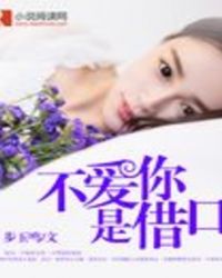 不爱你是借口章节列表
