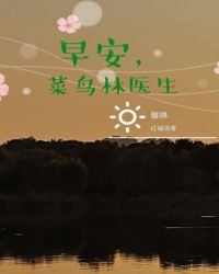 早安，菜鸟林医生章节列表