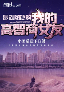 爱情公寓之我的高智商女友章节列表