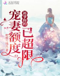 祁少你的宠妻额度已超限章节列表