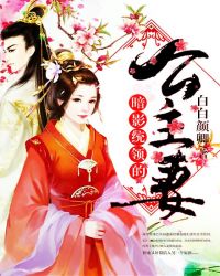 暗影统领的公主妻章节列表