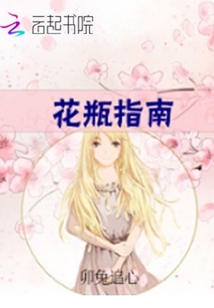 花瓶指南章节列表