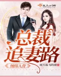 缠绵入骨：总裁追妻路章节列表
