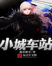 小城车站章节列表