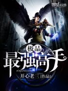极品最强高手章节列表