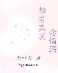 挚若真真念情深章节列表
