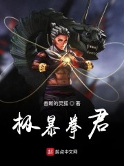 极暴拳君章节列表