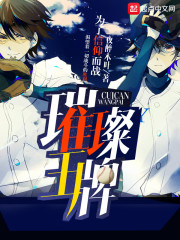 璀璨王牌章节列表