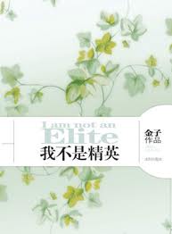 我不是精英章节列表