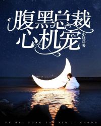 腹黑总裁心机宠章节列表