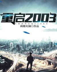 重启2003章节列表