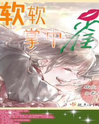 软软掌中雀章节列表