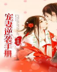 宠妻逆袭手册章节列表