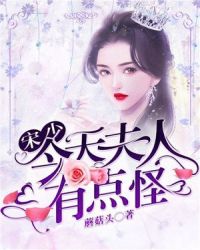 宋少，夫人今天有点怪章节列表