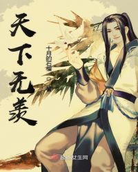 天下无羡章节列表
