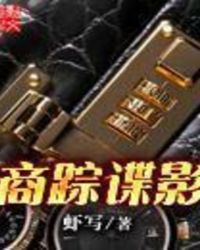 商踪谍影章节列表