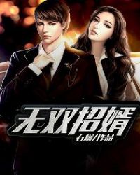 无双招婿章节列表