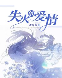 失火的爱情章节列表