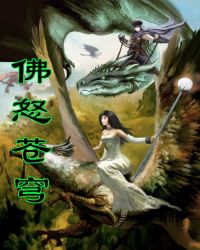 佛怒苍穹章节列表