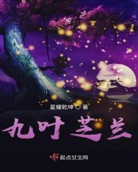 九叶芝兰章节列表